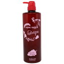 サニープレイス SUNNY PLACE ヘアオペ ナノサプリ クリニック トリートメント グレープ 1000ml 【あす楽】【ヘアケア トリートメント・..