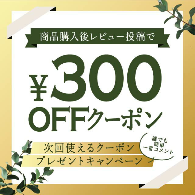 ゼオカル21 詰め替え用 100g リニューアル版 アルカリイオン水 電解還元水 イオン水 還元水 犬 水飲み 2