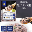 酵素玄米 黒テンペ粥 250g 選べる袋数 おかゆ お粥 ファスティング 準備食 復食 玄米 黒米 ファストザイム