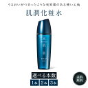 米肌 肌潤化粧水 120ml 選べる個数 KOSE コーセー ライスパワー 米肌化粧水 MAIHADA 化粧水 高保湿 ライスパワーNo.11 スキンケア 保湿 うるおい ハリ ツヤ 艶 毛穴 透明感 乾燥 小じわ くすみ クスミ 角質 ケア 対策