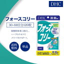 DHC フォースコリー 30～60日分 120粒 サプリメント 健康食品 ディーエイチシー ダイエット 女性 男性 その1