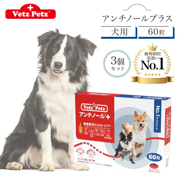 お得な特別割引価格） アンチノール プラス 犬用 60粒 2箱