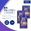 DHC 速攻ブルーベリー V-MAX 30日分 60