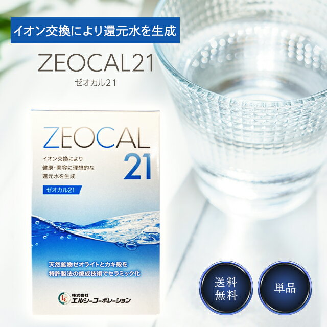 ゼオカル21 詰め替え用 100g リニュー