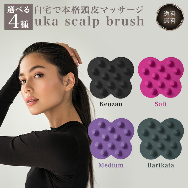 NuWay C Brush ヘアブラシ【エトロアメニティ付】Cブラッシュ ニューウェイ（SBSN）【ASU】