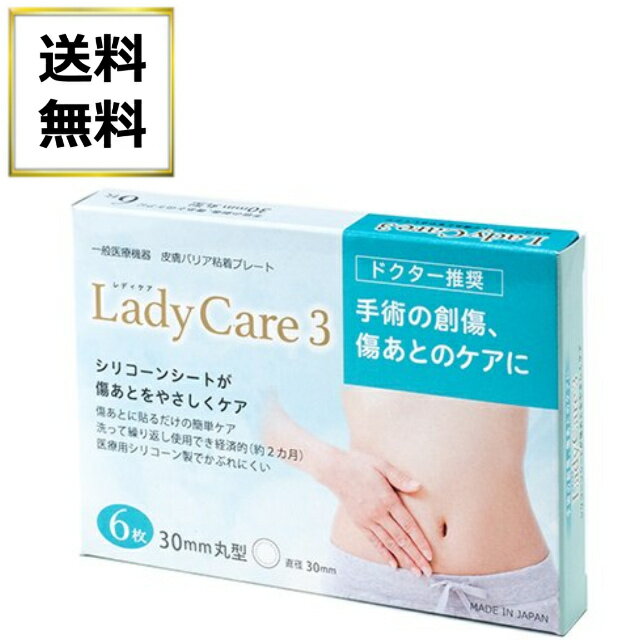 レディケア3 ギネマム 6枚入り Lady Care3 衛生日用品 衛生医療品