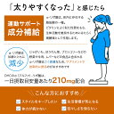 DHC α-リポ酸 アルファリポ酸 90日分 180粒 サプリメント 健康食品 ディーエイチシー 燃焼系 男性 女性 ダイエット 健康 美容 ビューティー 2