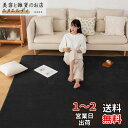 Sun Deco カーペットラグ 洗えるラグマット 絨毯 185×185cm(約2畳) 抗菌 防臭 防ダニ 滑り止め付き オールシーズン 床暖房 ホットカーペット対応 丸洗い フランネル 無地・ブラック