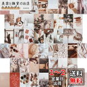50枚 ポストカード メッセージカード 厚紙 絵葉書カード スクラップブッキング diy 手芸 素材 ギフト 10×15cm 接着点付き