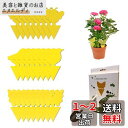 捕虫シート、防虫シート、粘着シート、粘着性、防虫用品、24枚セット 、害虫トラップ粘着紙-黄色、粘着トラップ、防虫トラップ、トラップ粘着シート、無臭、無毒、強力両面接着剤、フラワーポット用、フィールド&屋内、簡単なインストール(24) (24)
