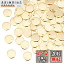 UNICRAFTALE 約100個 ネームタグ 円形 10mm 304ステンレス製 ブランクタグ チャーム ゴールド 空白札ペンダント 刻印可能 IDタグ トラ...