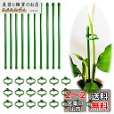 BIUTEFOR 支柱 園芸 植物支柱 観葉植物 支柱 【花支柱*10個/フォルダ*20個】花支え 胡蝶蘭観葉支柱 誘引 支柱 植物サポート 農業用 園芸用品 ガーデニング花支え支柱 【30CM】