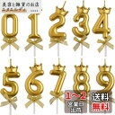 Selinearクラウンバースデーナンバーキャンドル 0-9 10点セット ins 高級 ろうそく 記念日キャンドルウエディングパーティー卒業パーティー (ゴー...