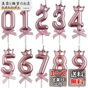 Selinear バースデーキャンドル ナンバーキャンドル 数字 キャンドル ロウソク 数字 0-9 10点セット 高級 ろうそく 誕生日 ろうそく おしゃれィ...