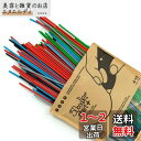 【3Doodler Start + 専用】 フィラメント 250本セット (並行輸入品)