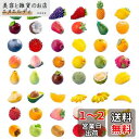 KyeeaDIY 人工果実セット ミニチュア 48種類セット景観置物・オブジェ 卓上 ミニ置物 マイクロ風景飾り 可愛くて癒し系 果物サンプル小道具デコ素材部屋...