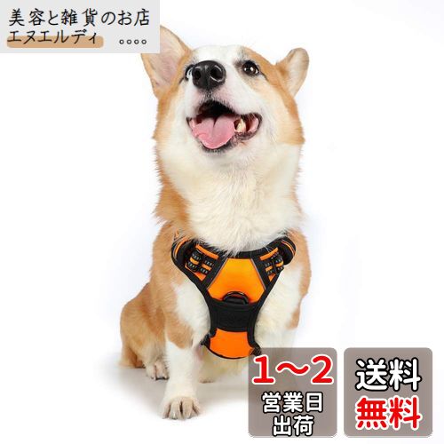 Rabbitgoo 犬 ハーネス 中型犬 首輪 13-20KG 引っ張り防止 サイズ調整可能 夜間反射材 抜けない 通気性 咳き込み防止 歩行補助ハーネス 老犬 介護用品 散歩 しつけ用 ソフト 小型犬 大型犬 柴犬 (オレンジ M)