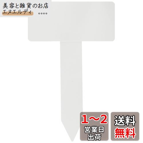 Ϳ(KONYO) ǥե Tե٥  5 1220cm
