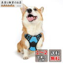 Rabbitgoo 犬 ハーネス 中型犬 13-20KG ソフト かわいい 犬用胴輪 引っ張り防止 負担が少ない首輪 サイズ調整可 夜間反射 抜けない 通気性 咳き込み防止 散歩 歩行補助 老犬介護 しつけ 運動向き 犬 小型犬 大型犬 柴犬 秋田犬 (ライトブルー M)
