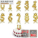 KALOLINNA クラウンバースデーナンバーキャンドル 0〜9 10点セット ロウソク 数字 誕生日を祝う 高級 ろうそく おしゃれ スタイリッシ 記念日キャ...