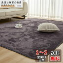 Mensu カーペット ラグ ラグマット 洗える 200×300cm 約4.5畳 絨毯 フランネルラグ 【至極の肌触り】毛足4mm 滑り止め付 北欧 おしゃれ ...