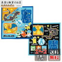スケーター(Skater) お弁当クロス ランチクロス 子供用 2枚セット ポケモン 24 男の子 KB4WN(3)