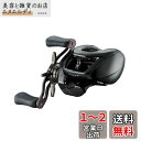ダイワ(DAIWA) バスベイトリール 24STEEZ(スティーズ) SV TW 100H (2024年モデル)