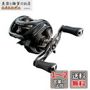 ダイワ(DAIWA) バスベイトリール 24STEEZ(スティーズ) SV TW 100XHL (2024年モデル)