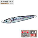 ダイワ(DAIWA) タングステンジグ TGベイト神掛 100G PHベビーサゴシ