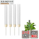 happykau モスポール支柱 4本セット連結可 観葉植物 園芸支柱 観葉植物モンステラ プラスチック 園芸 植物サポート屋内植物の成長をサポート 屋内植物の...