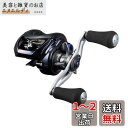 ダイワ(DAIWA) ベイトリール 23SALTIST TW 100XHL PE SPECIAL