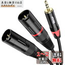 3.5mm to xlr×2,Veetop 2xlr 3.5mm 変換,3.5mm to 2XLR (オス) マイクケーブル 3.5mm trs to xlrオス変換ケーブル 3.5mm (1/8 Inch) ステレオ(オス) to XLR (オス)変換ケーブル 3m