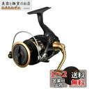 ダイワ(DAIWA) スピニングリール 23BG SW 6000D-H