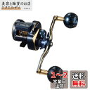 ダイワ(DAIWA) カウンター付キオフショアベイトリール ソルティガIC 100HL-DH