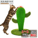 LIFLIX サボテン 猫 爪研ぎ 猫 つめとぎ ポール 天然サイザル麻 可愛いインテリア 安定 長持ち 組み立て簡単