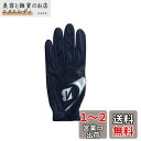 BRIDGESTONE(ブリヂストン) ゴルフグローブ STRONG DUAL GLG21 メンズ