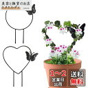 Coollooda 植物支柱 2個セット 観葉支柱 園芸支柱 つる性植物 観葉植物 誘引 支柱 植物サポート 植物成長方向誘引 花支え フラワー支柱 植物成長 ...