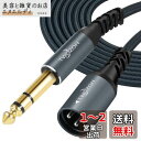 Twozoh ジャック 6.35mm - XLR オス 3ピン オーディオ ケーブル 0.3M, 編組XLRオス - 1/4 TRS ステレオギターケーブル (Profesional/Hifi)