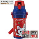 スケーター(Skater) 子供用 プラスチック 水筒 480ml 抗菌 ノンタン 日本製 PSB5SANAG-A