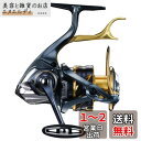 シマノ(SHIMANO) スピニングリール 21 BB-X テクニウム C4000D TYPE-G SR 磯