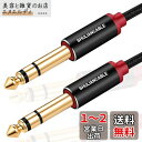 SHULIANCABLE 6.35mm ギター ケーブル, 標準プラグ オス-オス ミキサー ギター アンプ スピーカー等の接続用 (2M)