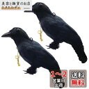 ONESORA カラスよけ 鳥よけグッズ 本物そっくり リアル羽毛カラス 【原寸体サイズ 2羽】 ぶら下げて吊るすだけ カラス撃退