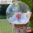 【LEISURE CLUB】10個入り 広口 透明バルーン クリアボボボバルーン アクアバルーン クリアバルーン バルーンフラワー ブーケ 花束 PVCバルーン 風船 透明な風船 ラテックス風船 セット きらきら風船 パーティー お祝い 花火大会 七夕 ウェディング 結婚式 記念日 お祝い