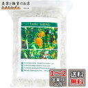 DERAYEE 園芸ネット 園芸用トンネル 幅1.67m×縦5m 15cm網目 格子網 植物がつる網