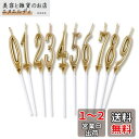 Phyxiul バースデー ナンバー キャンドル 0〜9 10点セット 誕生日 お祝い 高級 ろうそく 記念日キャンドルウエディングパーティー卒業パーティー (...