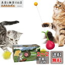 Vihir 猫 おもちゃ ボール 羽のおもちゃ ねこのおもちゃ 知育玩具 ダルマ だるま 猫のプレゼント 寂しさ解消 ストレス解消 運動不足対策のペット用品 子猫 おもちゃ (赤)(3)
