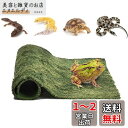 Hitasi 爬虫類 マット 爬虫類 床材 緑の色 人工芝マット 柔軟保湿吸水 ペットマット ケージ装飾 リクガメ 床材 両生類用床材 亀 コオロギ トカゲ カエル 昆虫飼育 通気性 洗える 造園装飾 テラリウム寝具 19*29.5CM