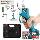 Elikliv 充電式剪定ばさみ 電動剪定バサミ 剪定 ブラシレスモーター採用 開き口30mm 高枝切りの延長ポールと接続可能 4段階開き角度調整可能 電動剪定...