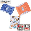 Teamoy 犬マナーベルト 3点セット オス メッシュ裏地 吸収層付き 防水加工生地 ウェストサイズ調整可能 マーキング防止 介護用 お漏らし対策(S,オレン...