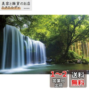 1000ピース ジグソーパズル 癒しの水簾(熊本県鍋ヶ滝) (50x75cm)